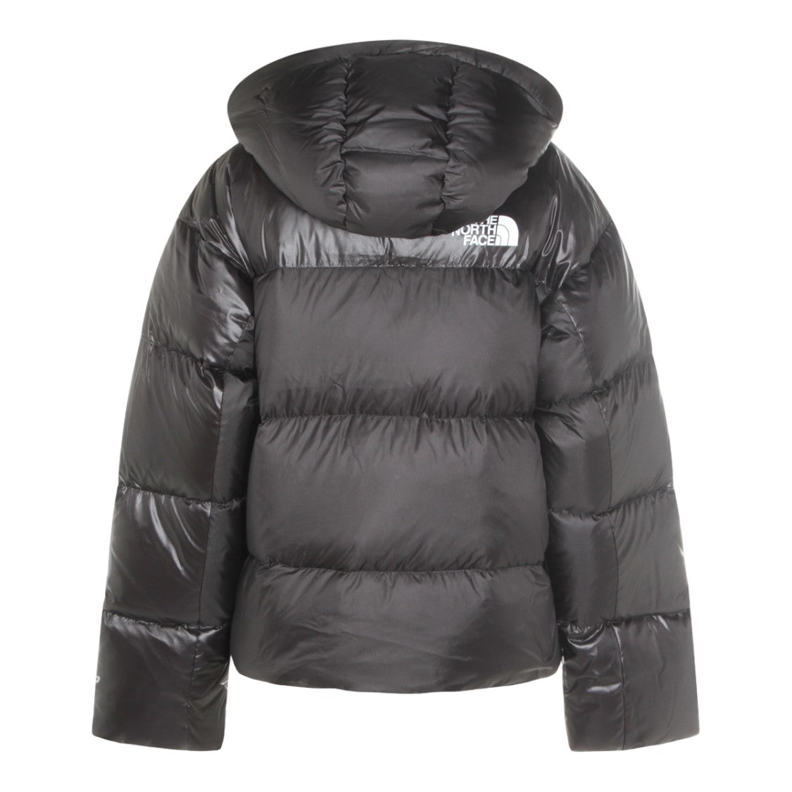 The North Face Glossy And Matte Finish Black Puffer Jacket