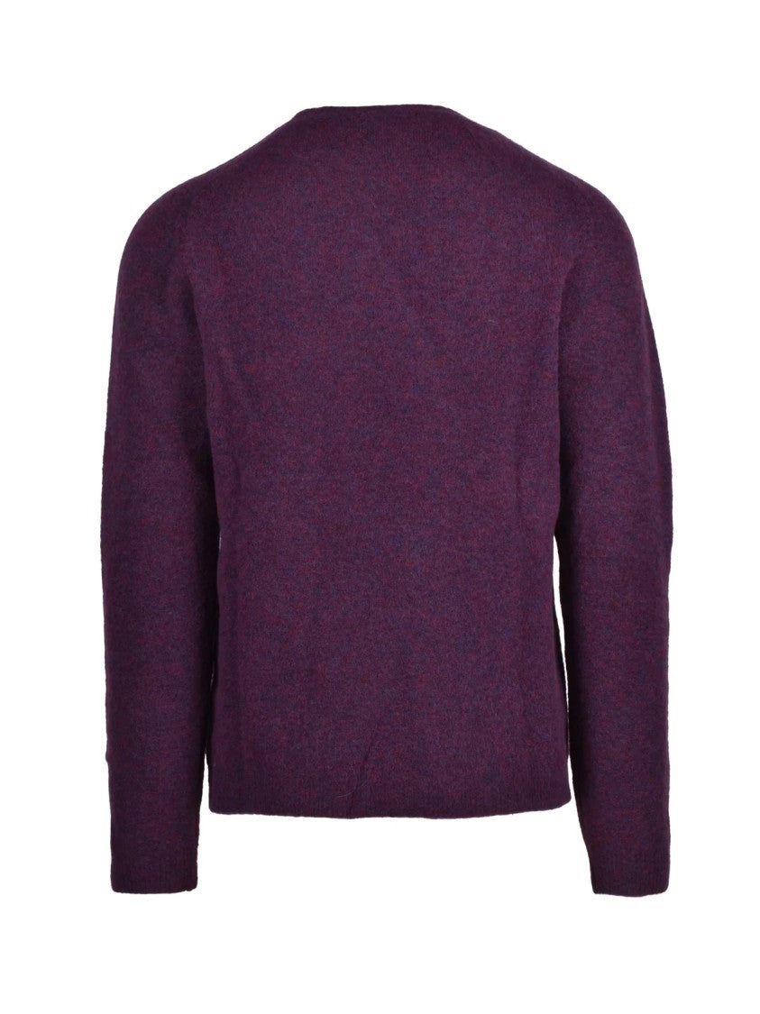Daniele Fiesoli Crew Neck Pullover In Extrafine Merino Wool Blend