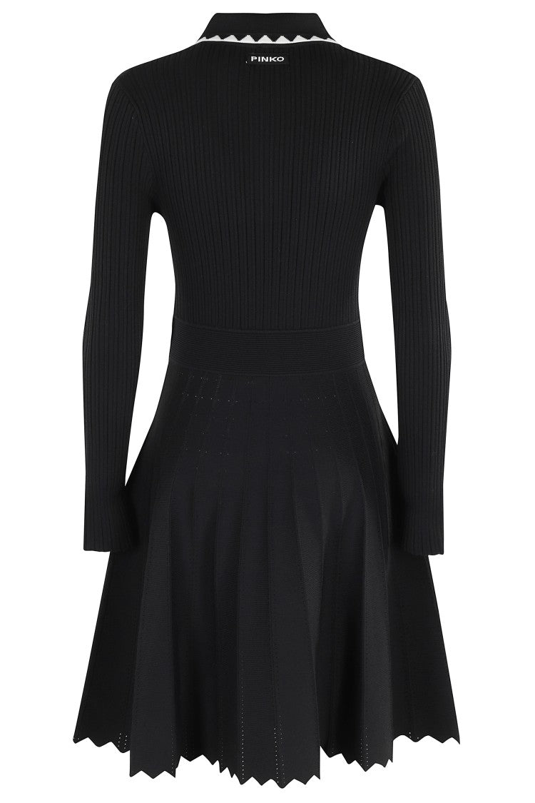 Pinko Nisida Dress