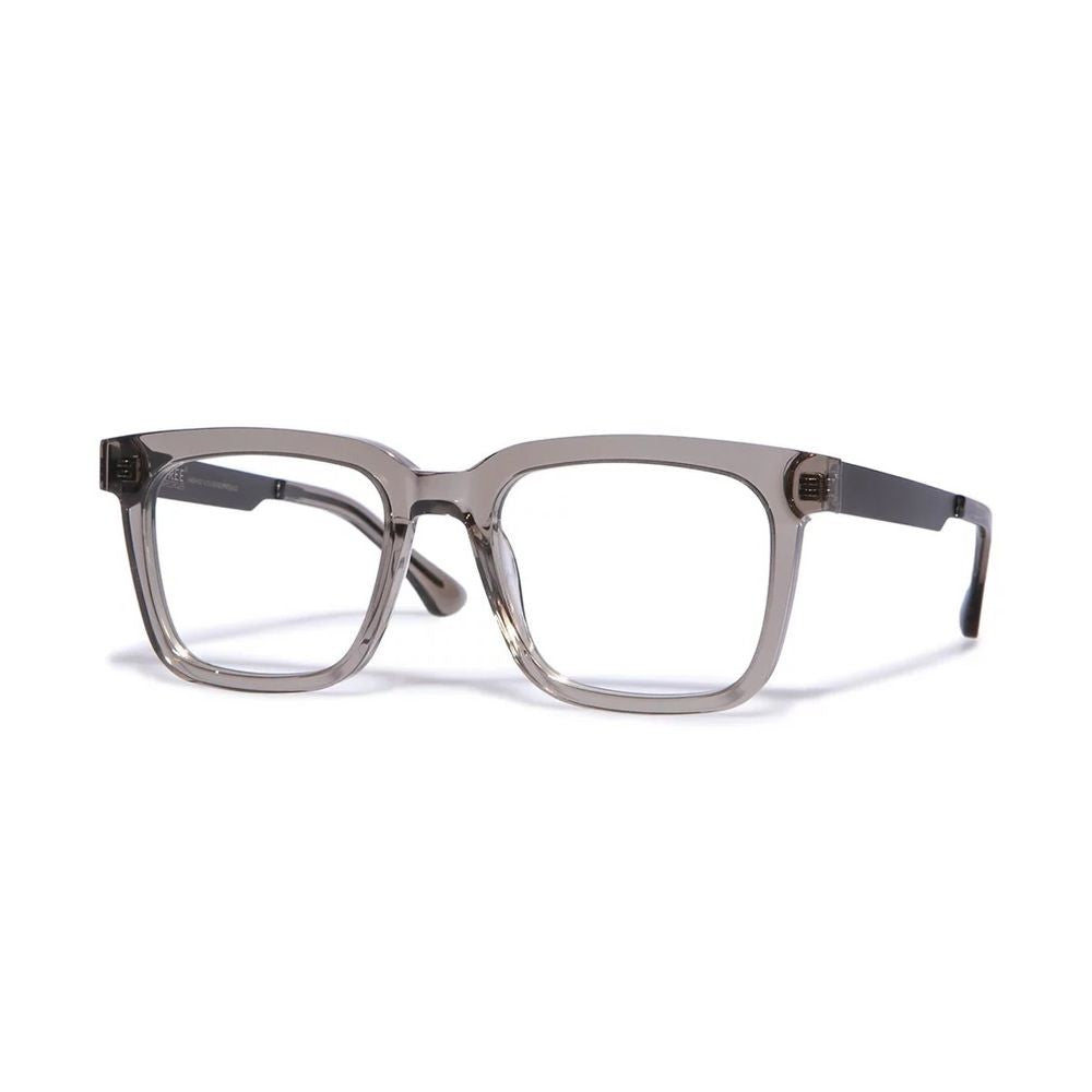 Tree Spectacles Ts-Baucis Translucent Acetate And Japanese Titanium Eyewear