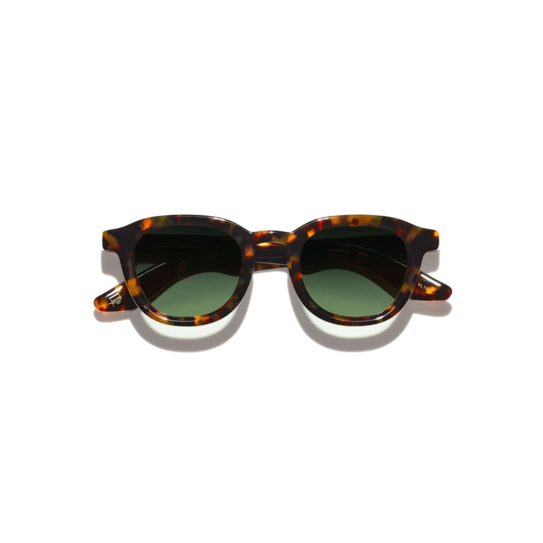 Moscot Or-Dah-S Dahven Sun Bold Acetate Sunglasses