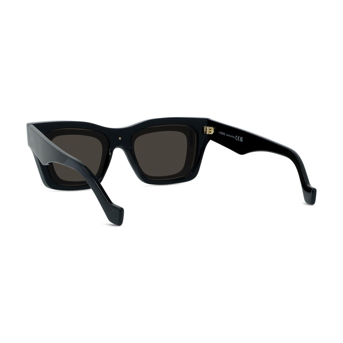 Loewe Lw40169i Bold Rectangular Acetate Sunglasses