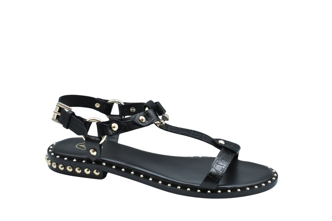 Ash Cocco Black Laced Flat Shoes