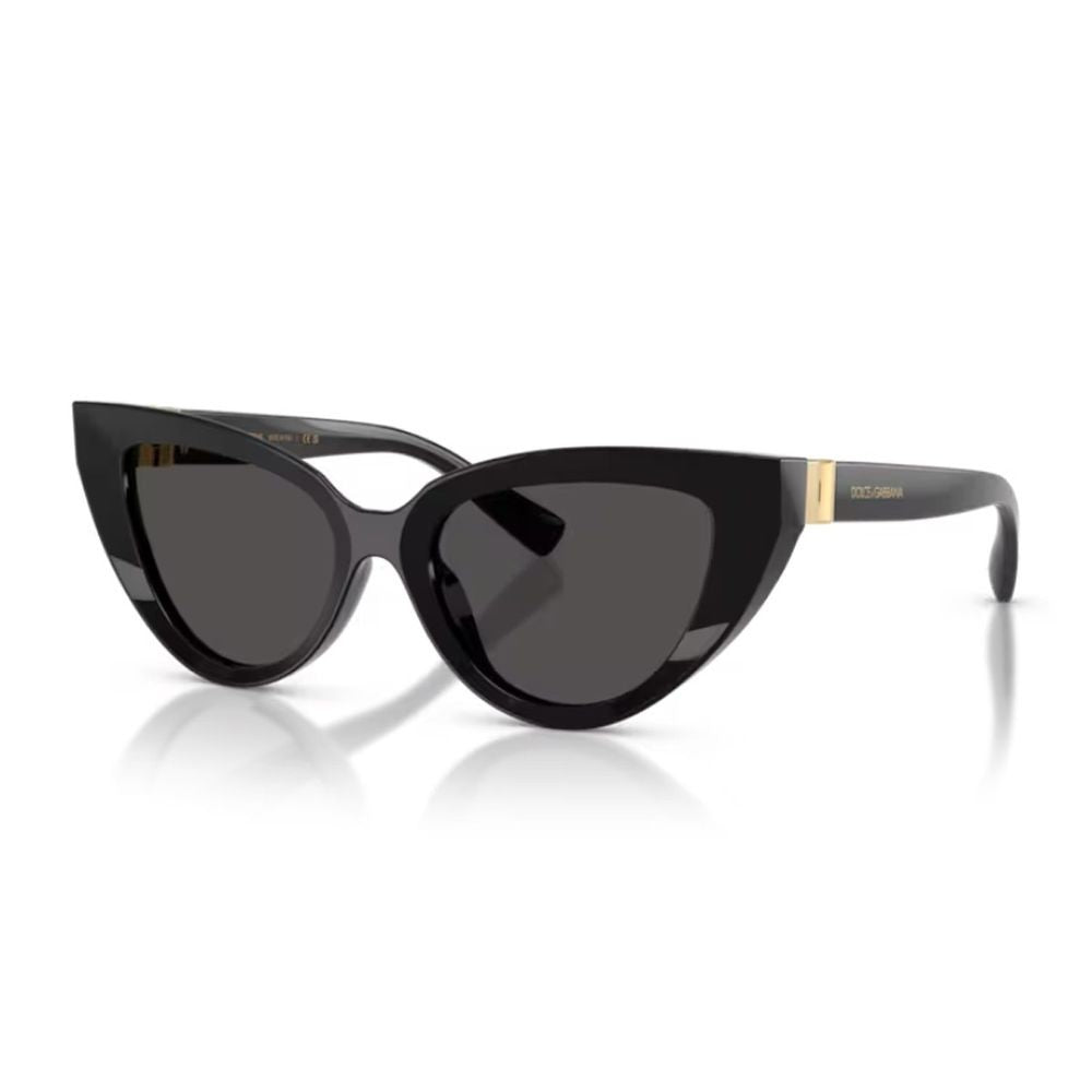 Dolce & Gabbana Dg4497 Dg Hinge Cat-Eye Sunglasses
