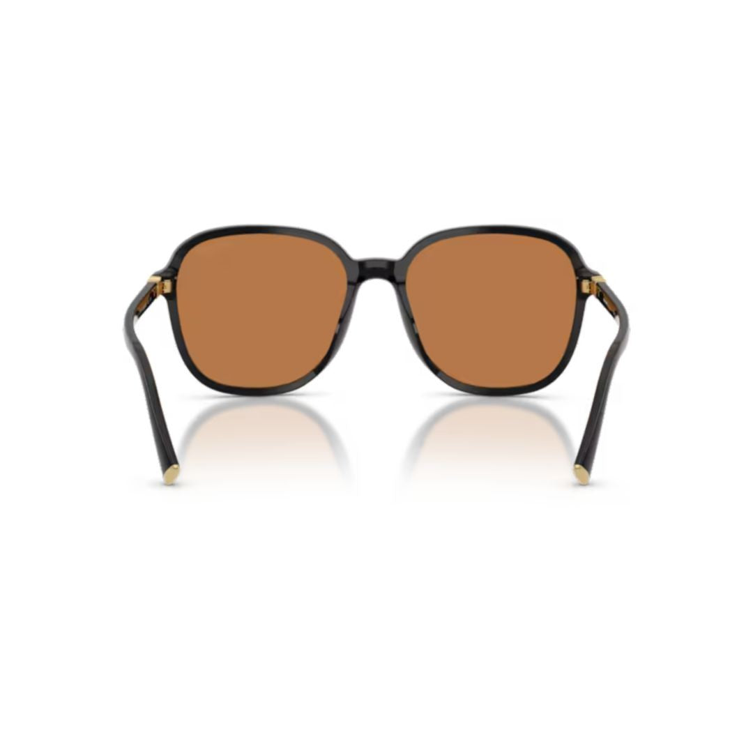 Miu Miu 0Mu B01s Oversized Square Black Acetate Sunglasses