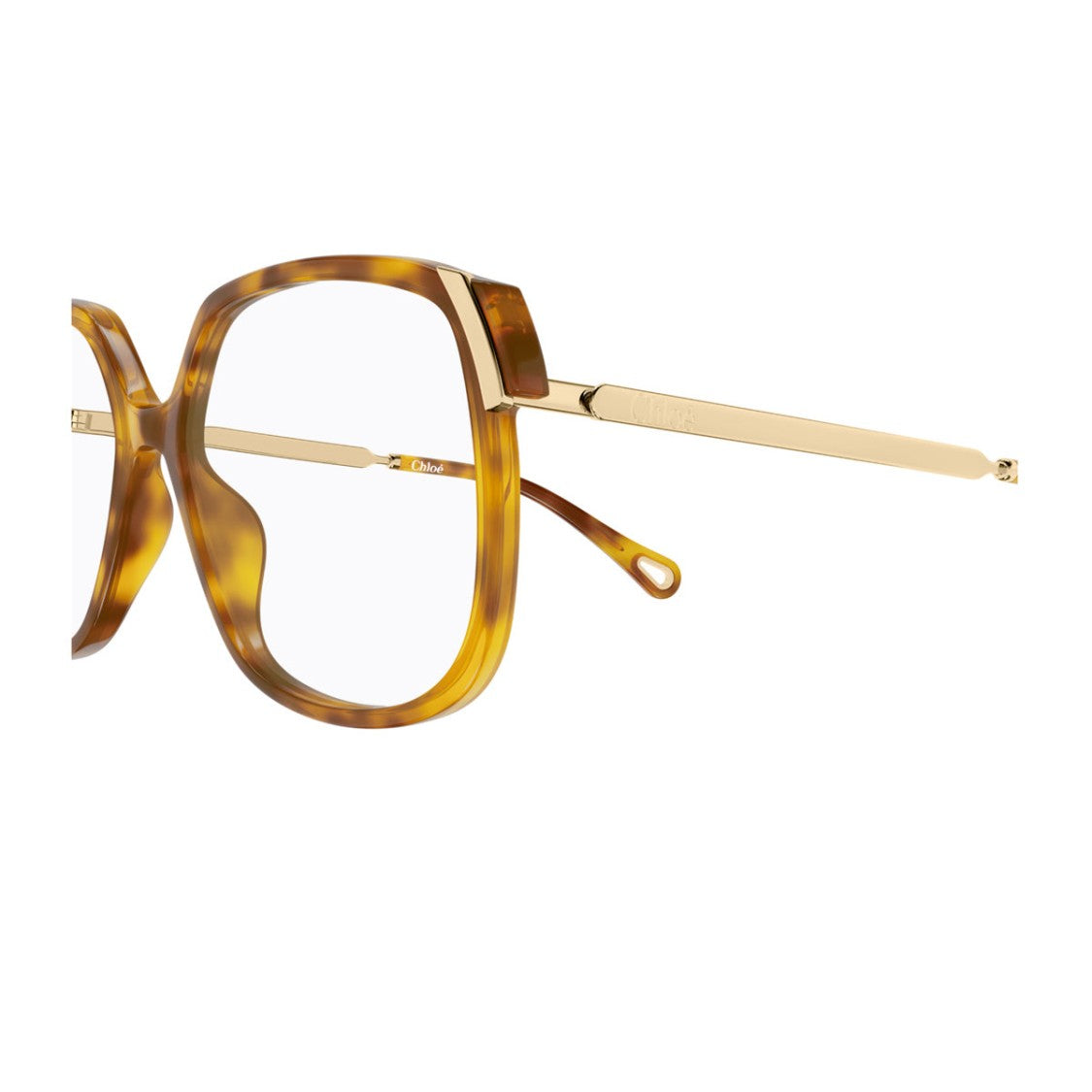 Chloé Havana Aly Retro Oversized Square Acetate Sunglasses