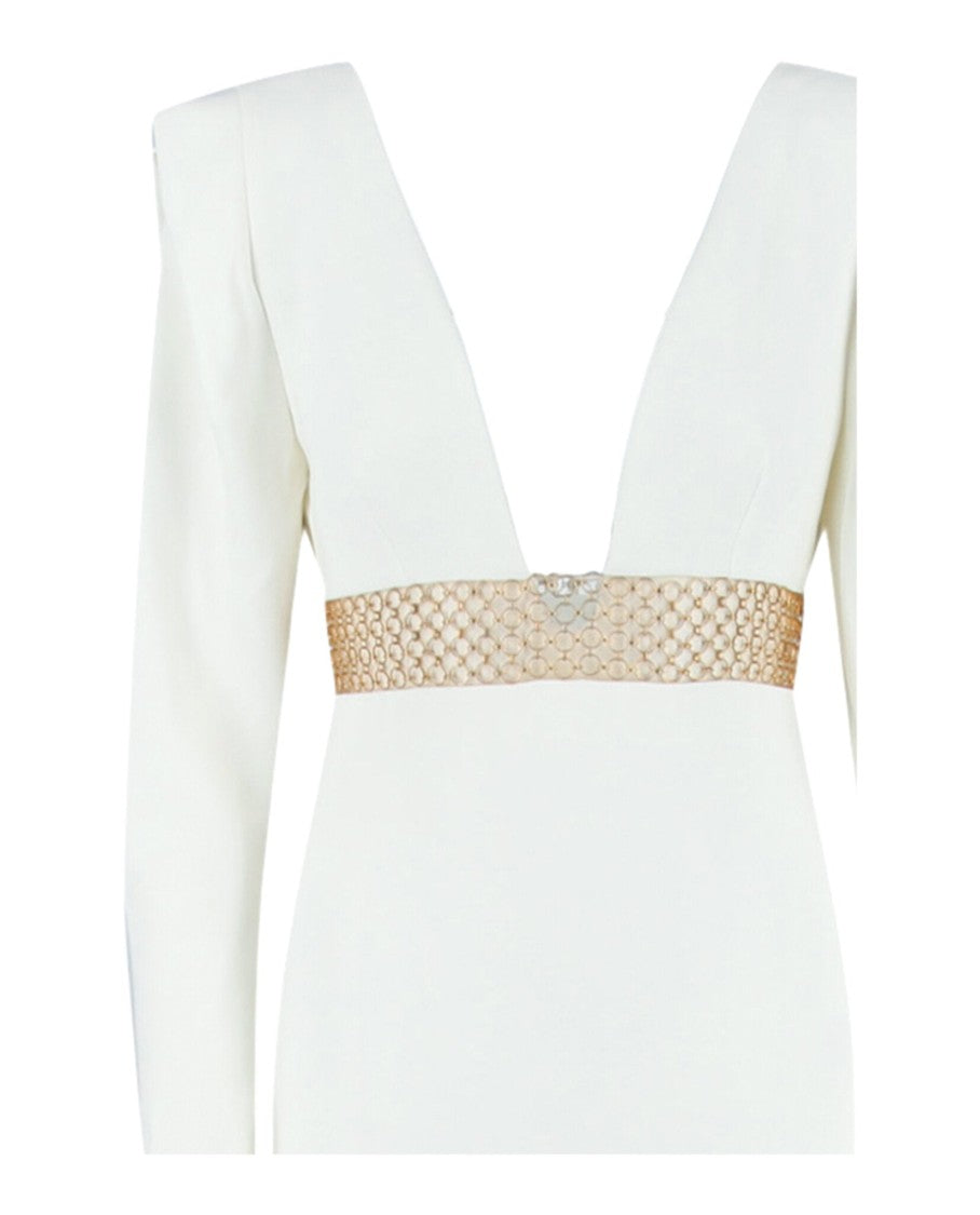 Stella Mccartney Long Sleeve Deep V-Neck Gown
