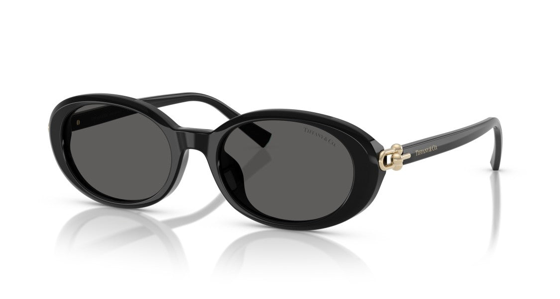 Tiffany & Co. 0Tf4242d Large Round Black Acetate Sunglasses