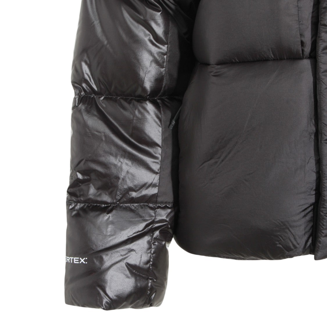 The North Face Glossy And Matte Finish Black Puffer Jacket
