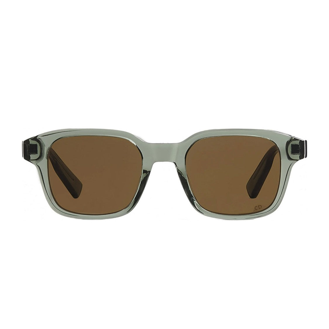 Dior Dioribbon S1i Rectangular Transparent Green Sunglasses