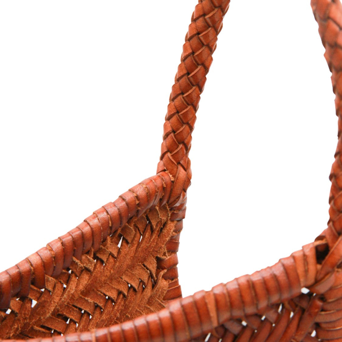 Dragon Diffusion Diagonal Tote With Woven Leather Design And Top Handles