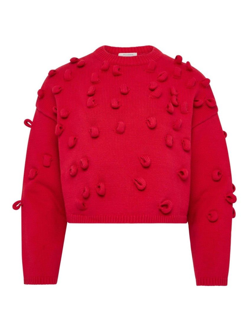 J. W. Anderson Cropped Loop Jumper