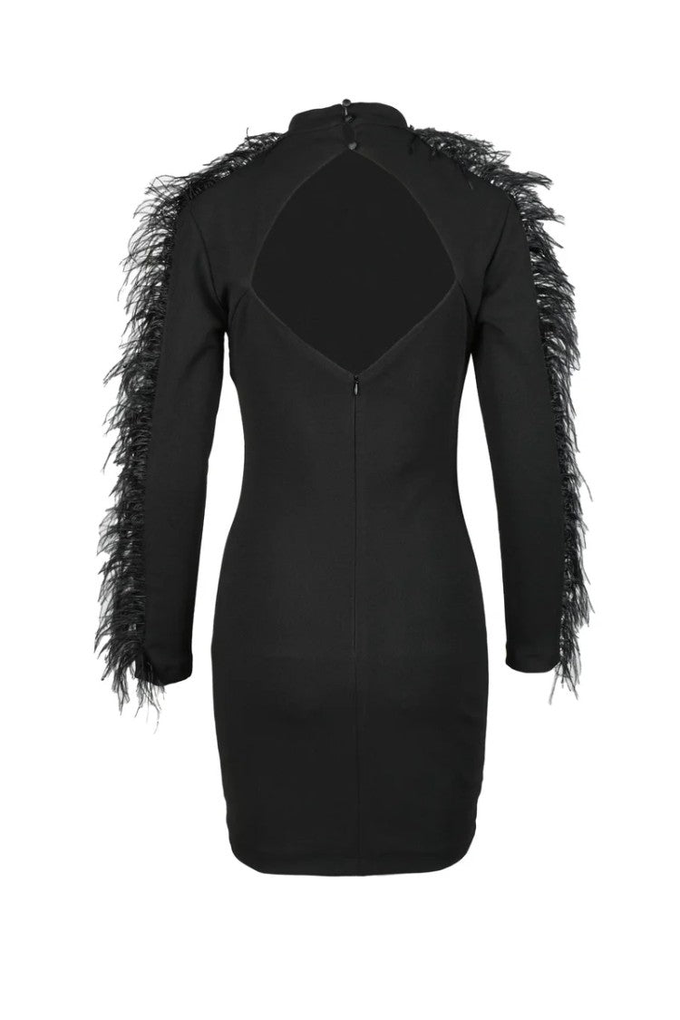 Spell By Access Fashion Fitted Mini Dress With Feathered Fringes