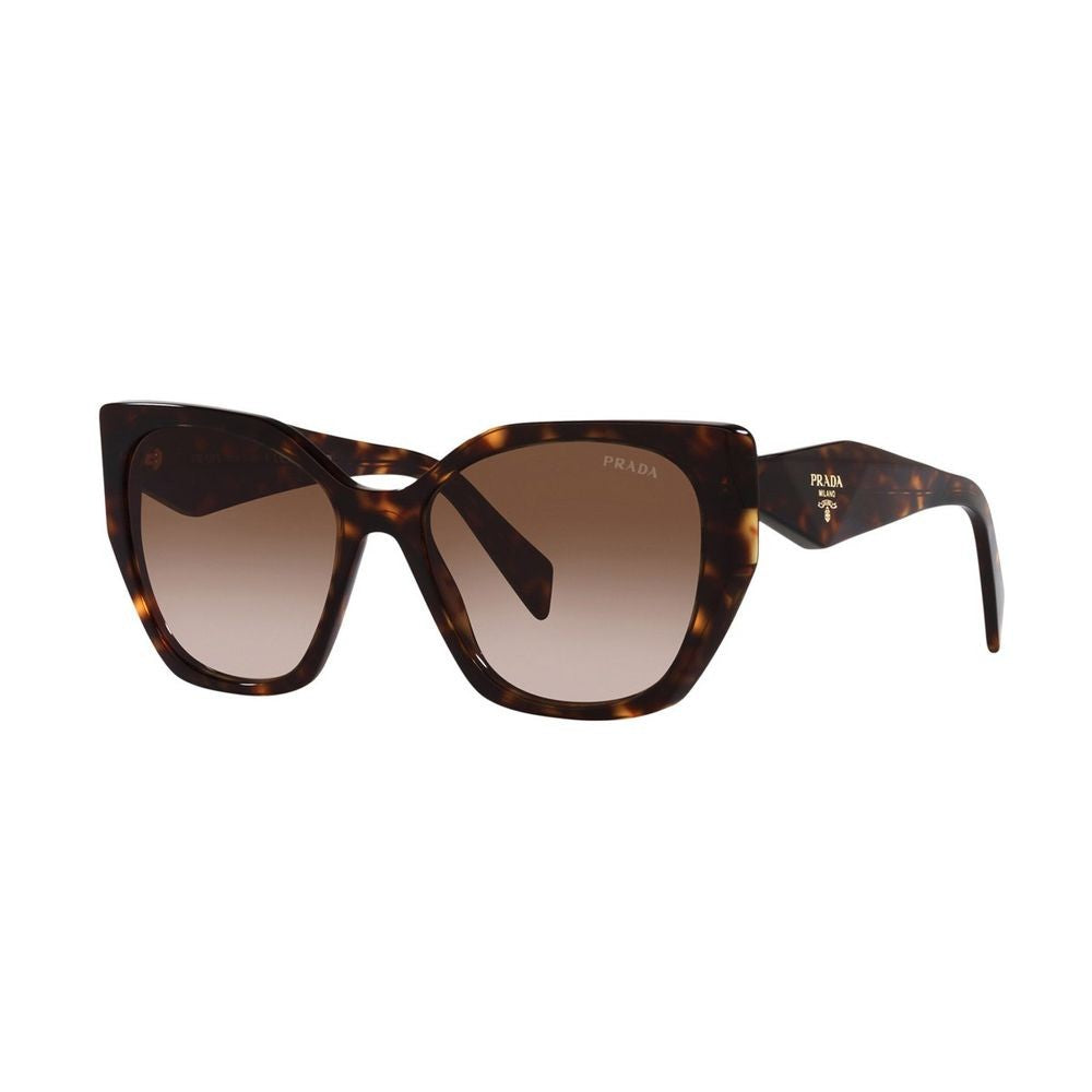 Prada Pr19zs Symbole Oversized Square Havana Acetate Sunglasses