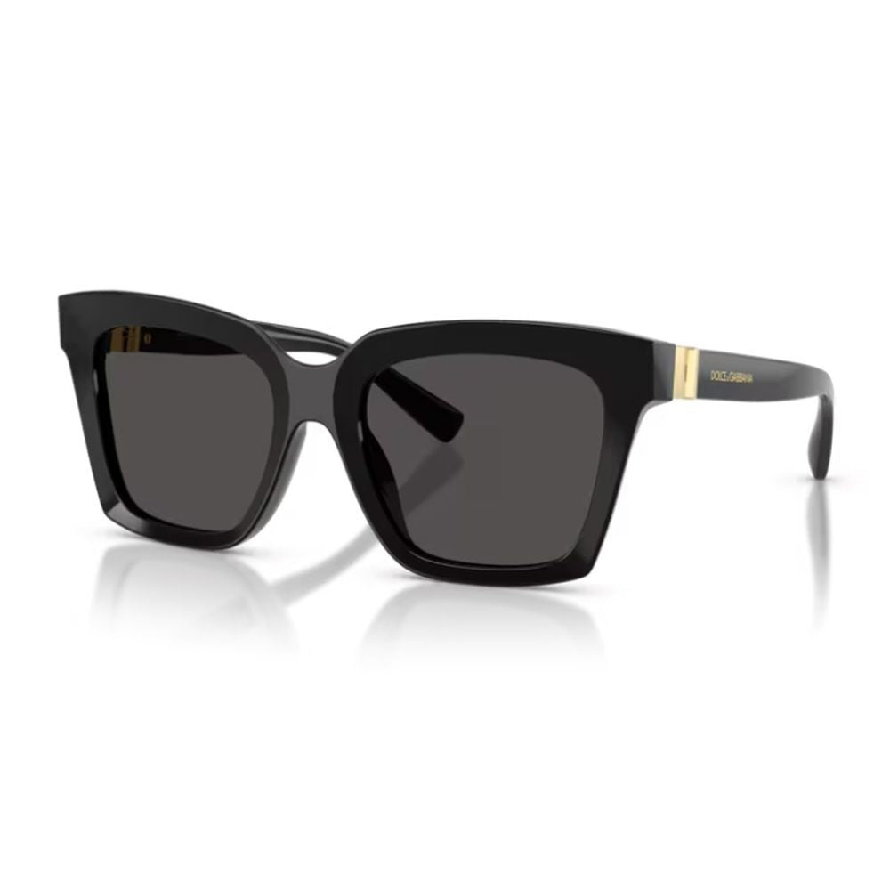 Dolce & Gabbana Dg4498 Dg Hinge Square Acetate Sunglasses