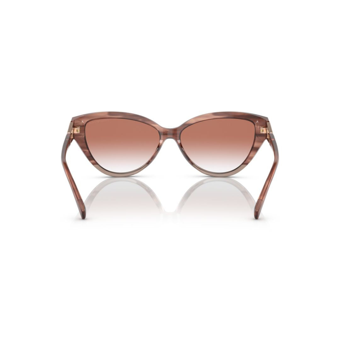Emporio Armani 4192 Sole Cat-Eye Sunglasses With Translucent Brown Acetate