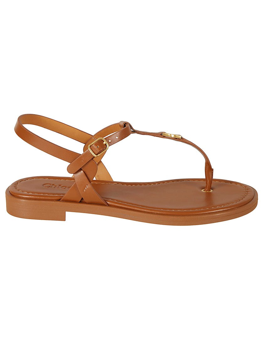 Chloé Brown Sandals With Crisscross Ankle Straps