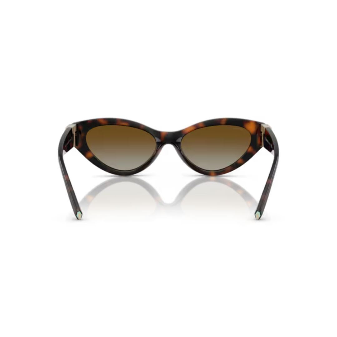 Tiffany & Co. 0Tf4225u Cat-Eye Frame Sunglasses