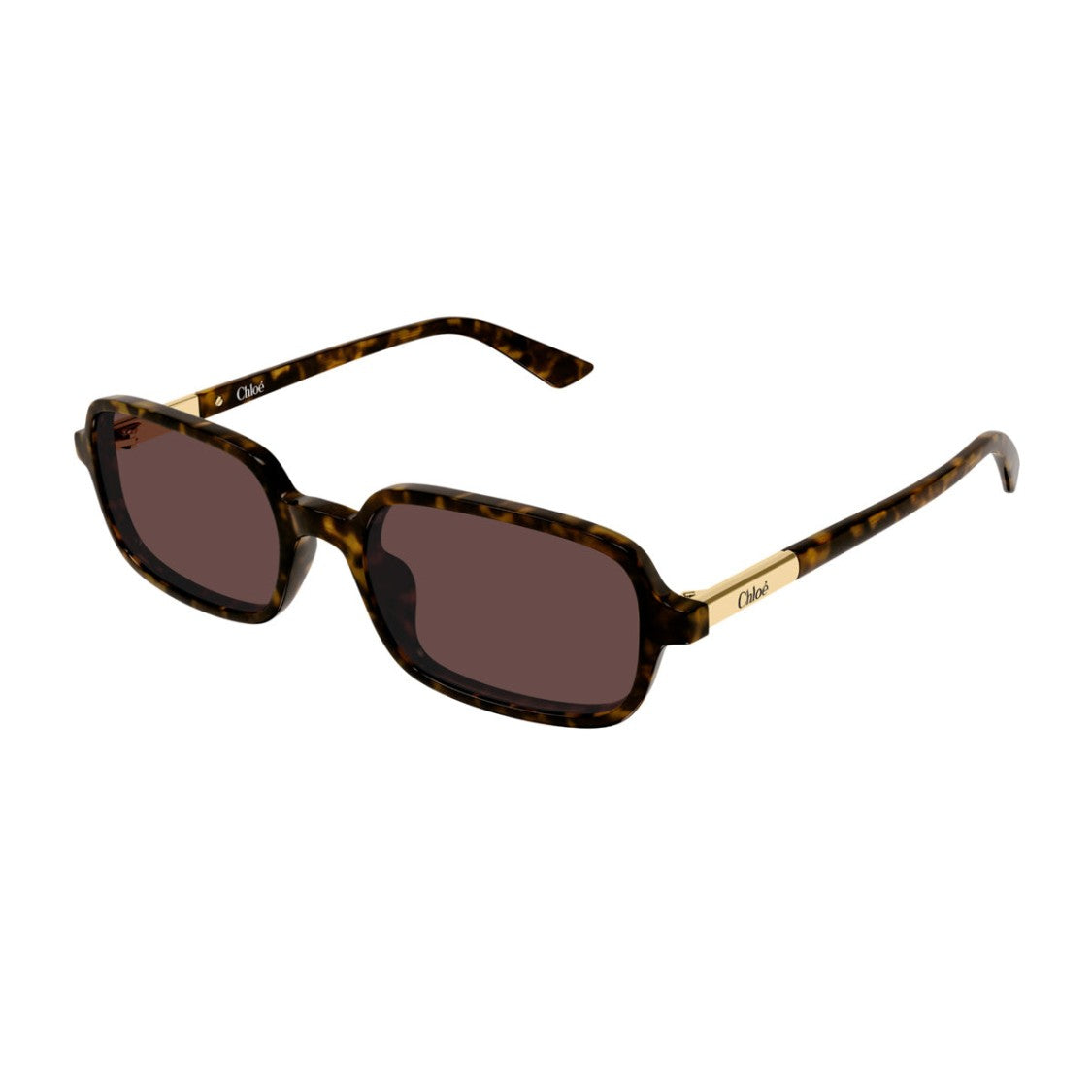 Chloé Havana Ch0363s Rectangular Acetate Sunglasses