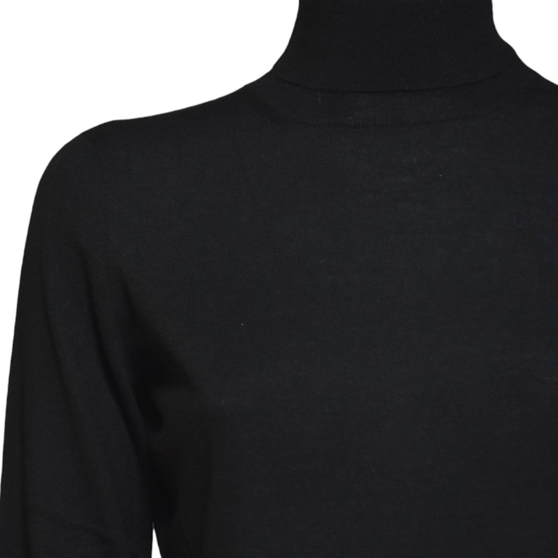 Max Mara Quick Cashmere Turtleneck In Black