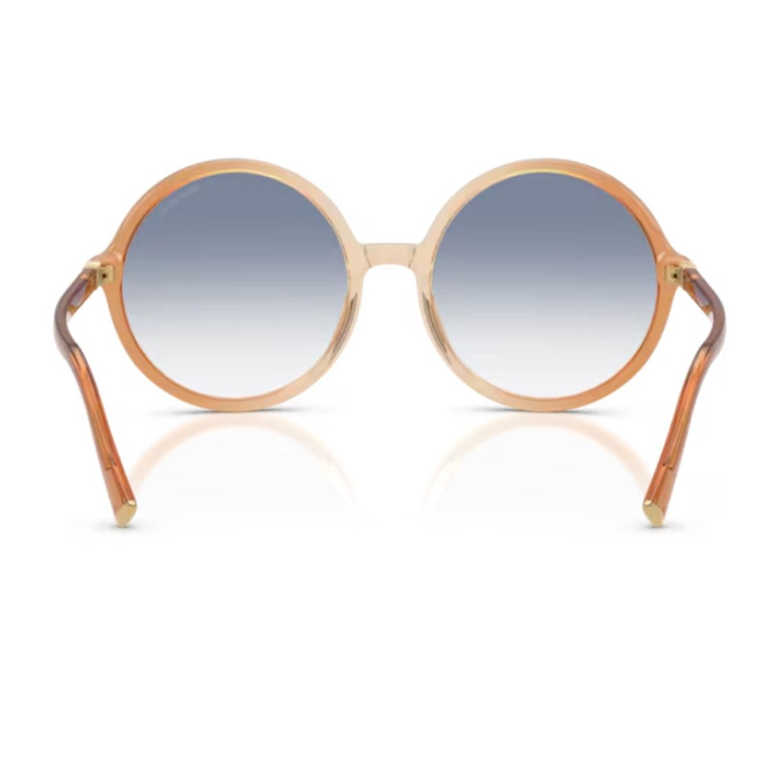 Miu Miu Brown Miu Regard 0Mu B02s Acetate Round Sunglasses