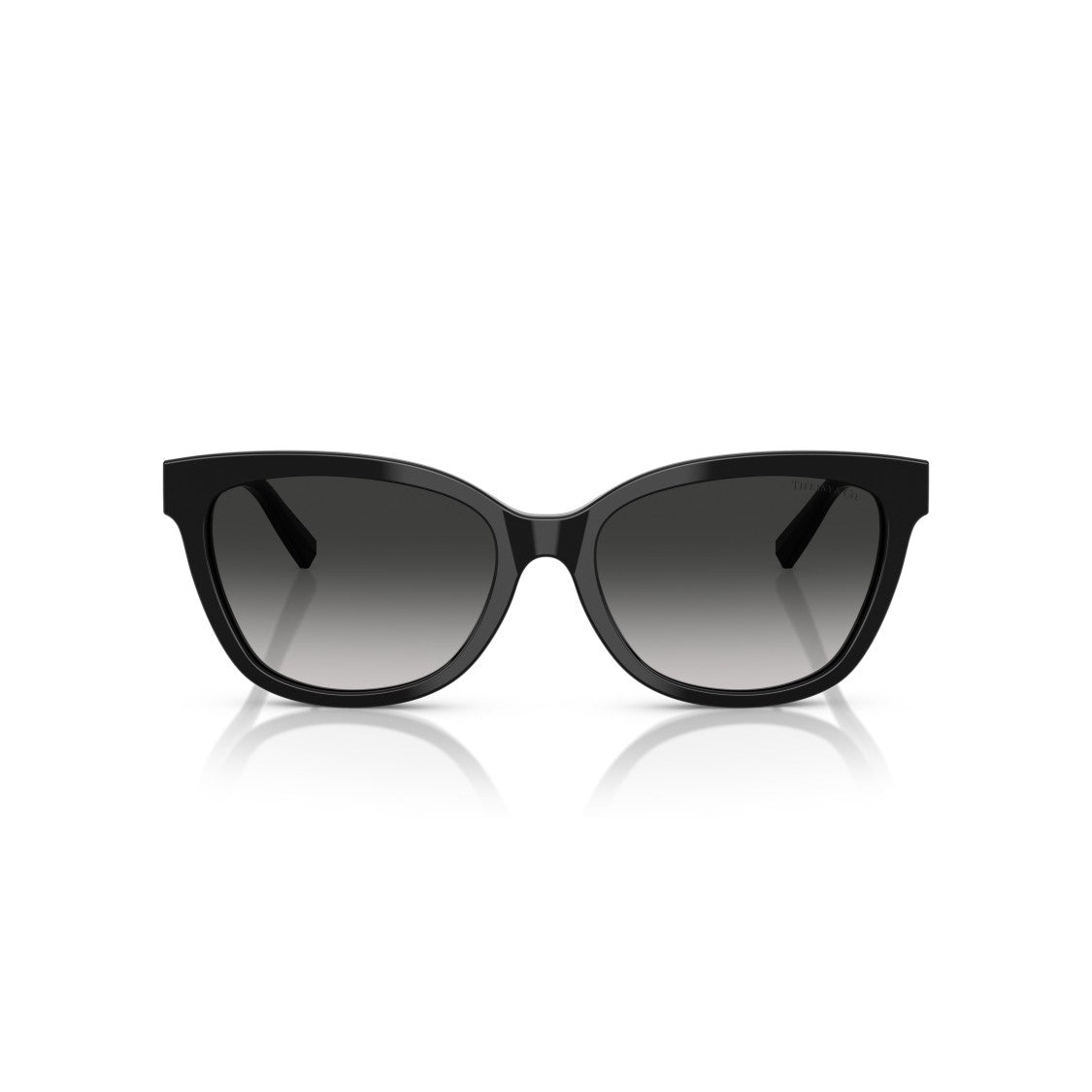 Tiffany & Co. 0Tf4237b Oversized Square Frame Sunglasses