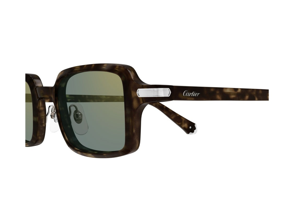 Cartier Ct0539s Bold Square Tortoiseshell Acetate Sunglasses