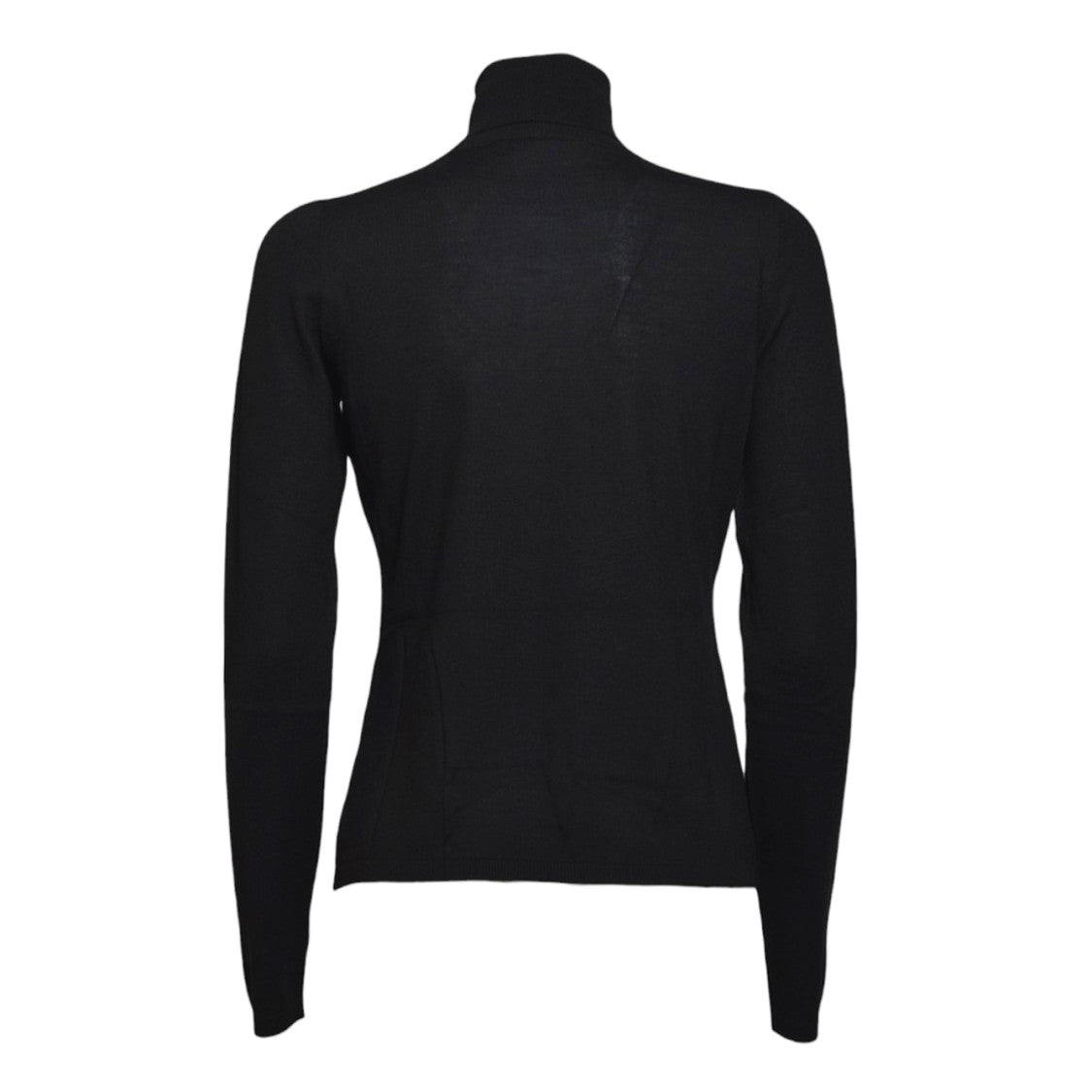Max Mara Quick Cashmere Turtleneck In Black