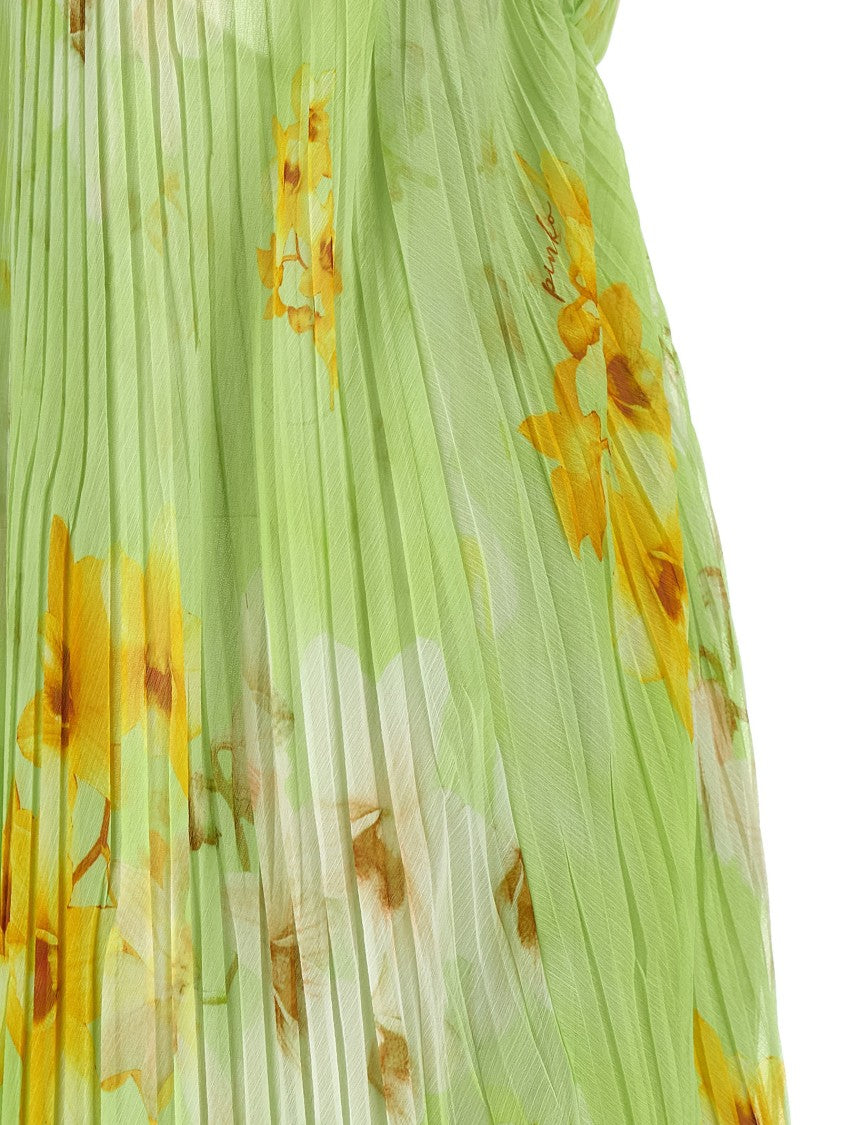 Pinko 'Zigolo' Dress