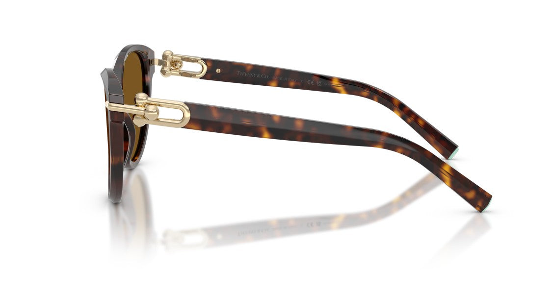 Tiffany & Co. 0Tf4261 Rounded Cat-Eye Sunglasses