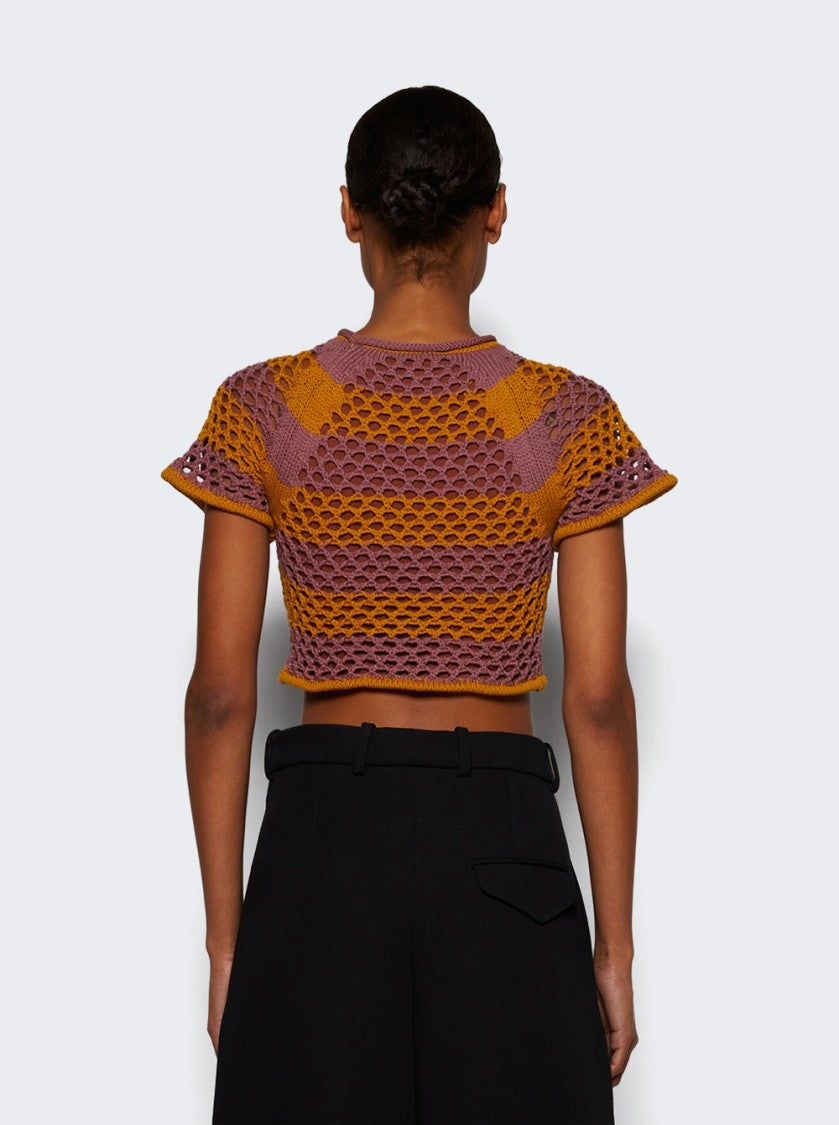 Diotima Rae Top Rose