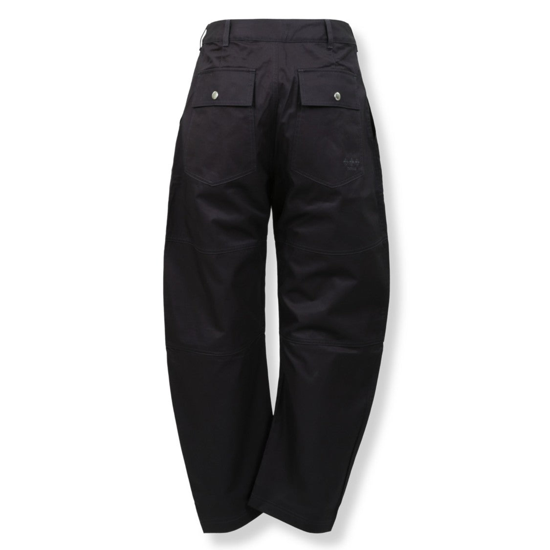Tatras Wide-Leg Pleated Pants