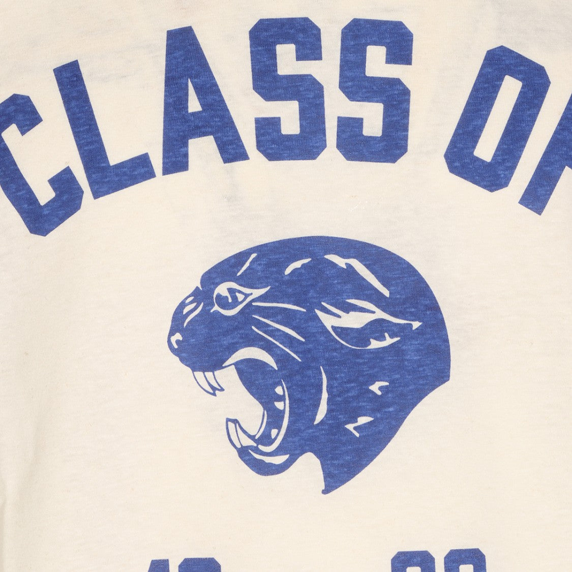 Valentino Short-Sleeve Printed T-Shirt With Panther Graphic
