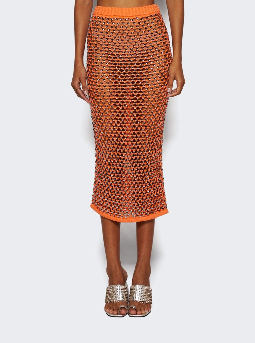 Diotima Spice Skirt In Crystal Mesh