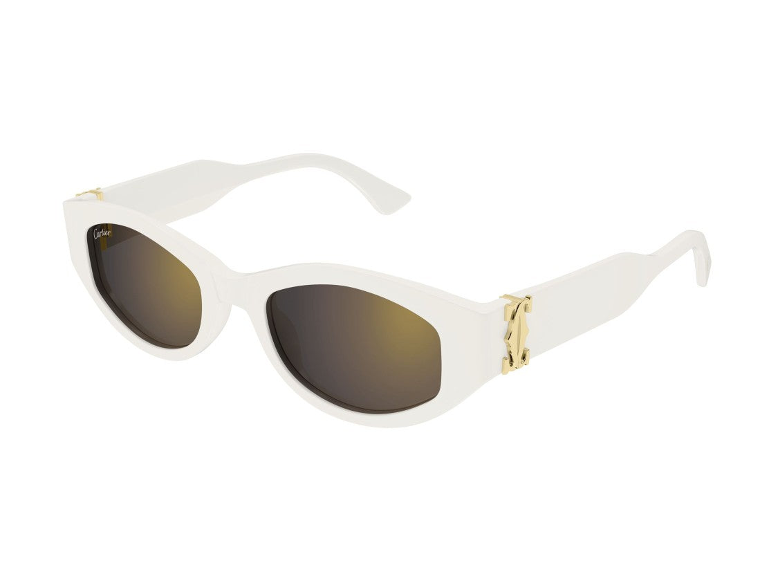 Cartier Ct0667s Bold Oversized Acetate Sunglasses