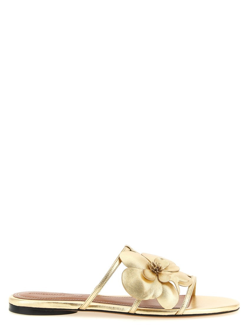 Zimmermann 'Orchid' Slides