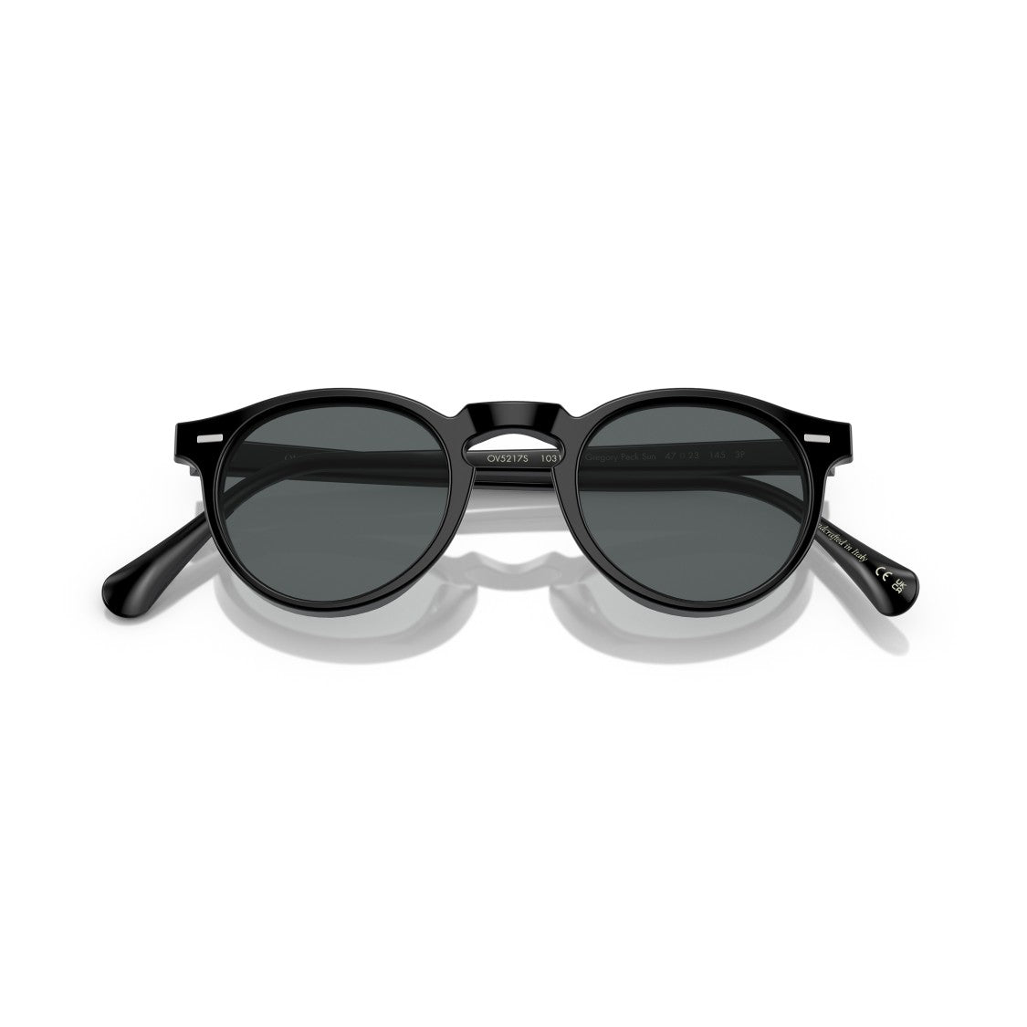 Oliver Peoples 0Ov5217s Classic Round Frame Sunglasses With Metallic Accents
