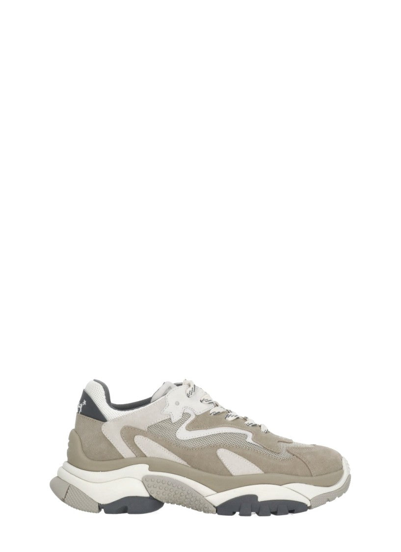 Ash Addict Suede Sneakers