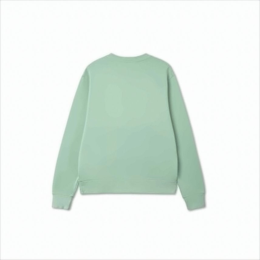 Polo Ralph Lauren Relaxed Fit Fleece Sweatshirt