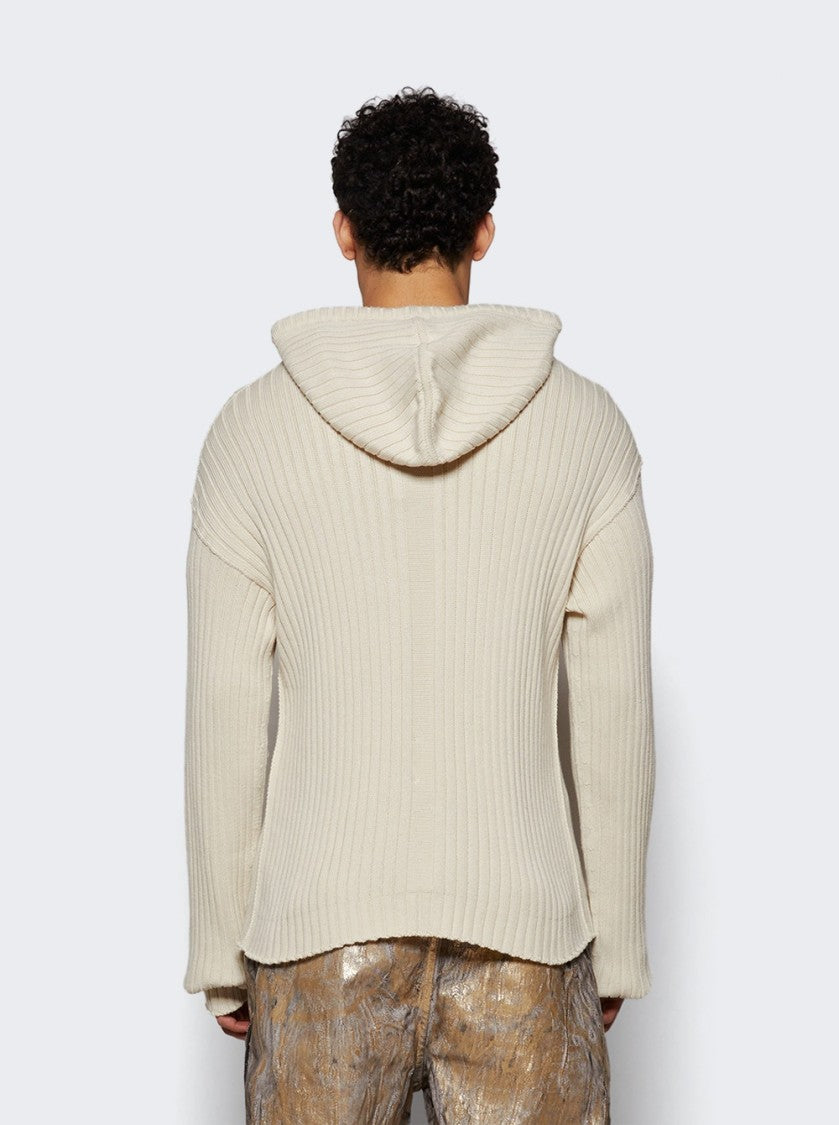 Rick Owens Zipped Hoodie Sweater Dinge