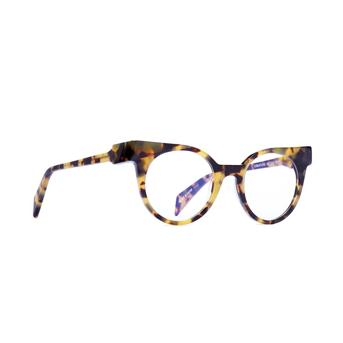 Siens Tortoise Creature 061 Acetate Round Eyeglasses