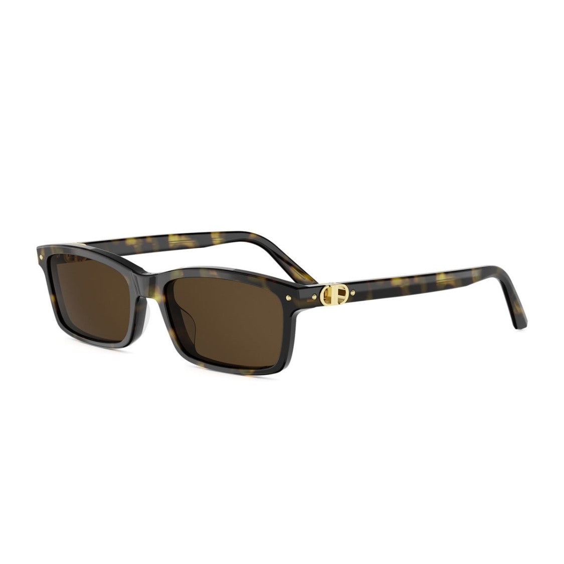 Dior Havana Petit Cd S1i Rectangular Sunglasses