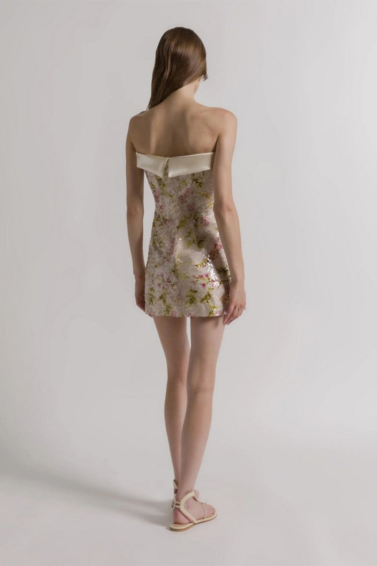 Alberta Ferretti Multicolor Crepe Mini Dress