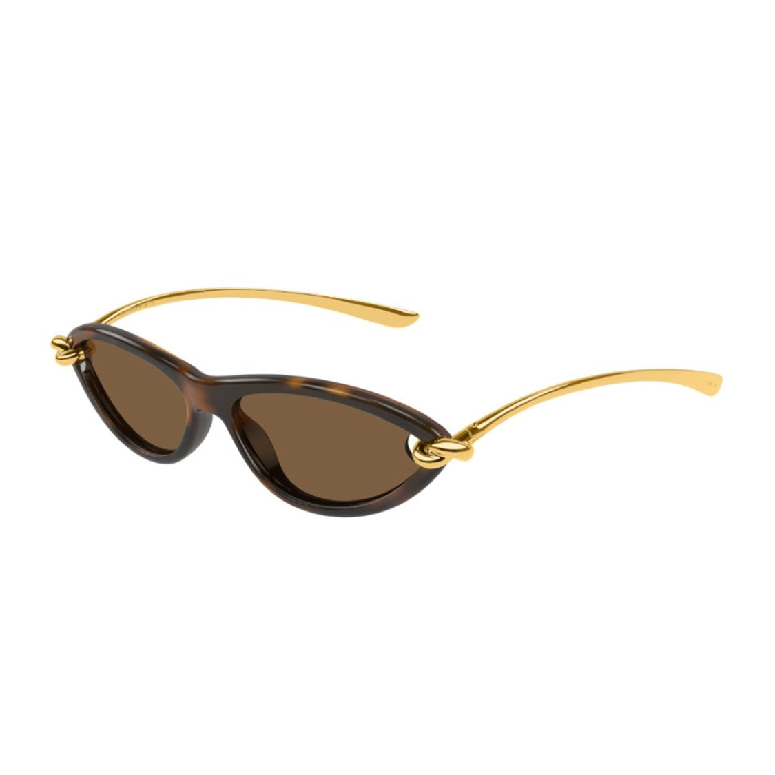Bottega Veneta Havana Signature Icons Sunglasses