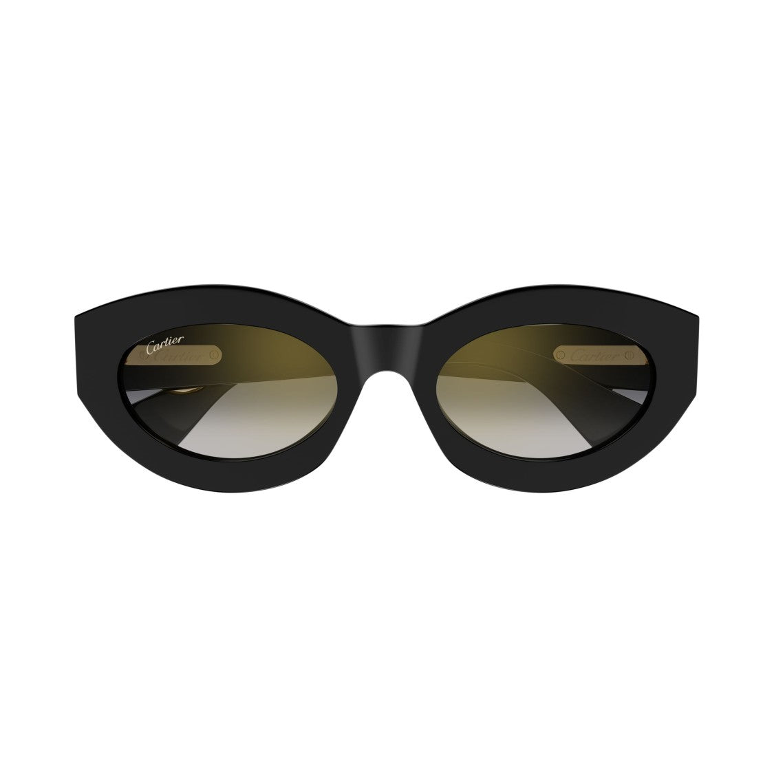 Cartier Ct0638s Cat-Eye Sunglasses With Gold-Tone Embellishments