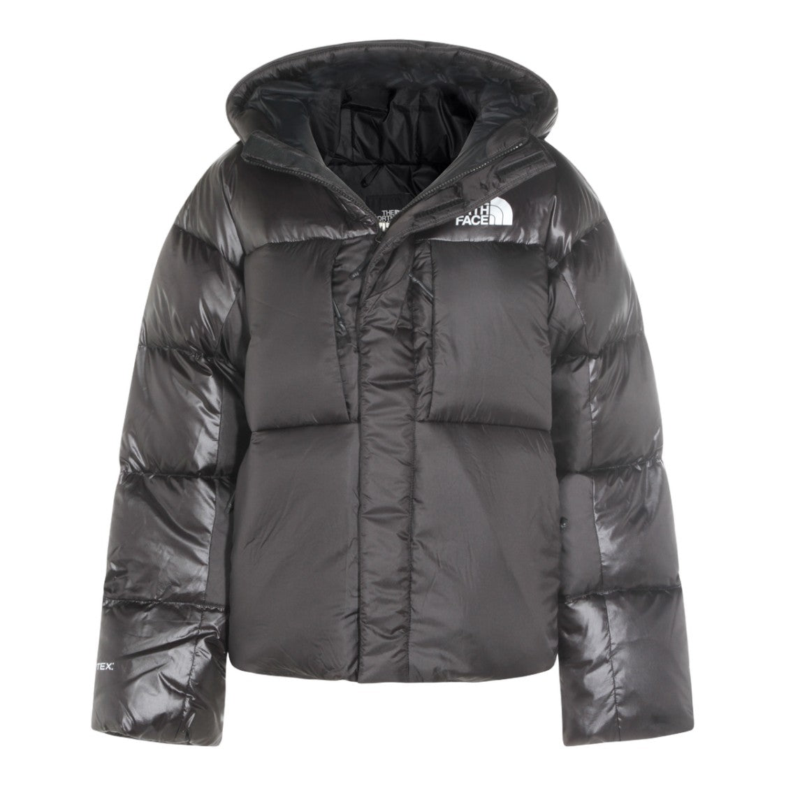The North Face Glossy And Matte Finish Black Puffer Jacket