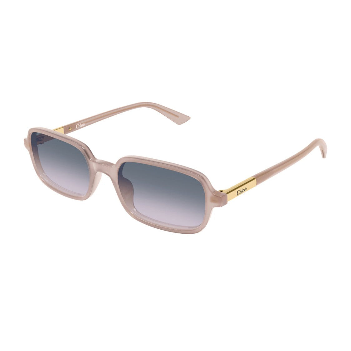 Chloé Pink Ch0363s Oversized Rectangular Acetate Sunglasses