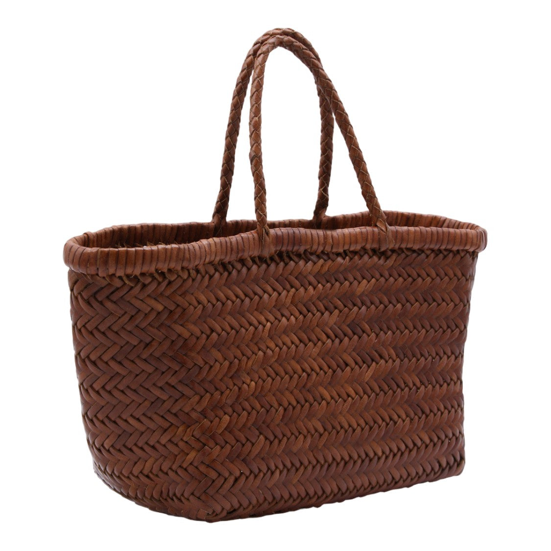 Dragon Diffusion Structured Brown Handbag With Smooth Finish