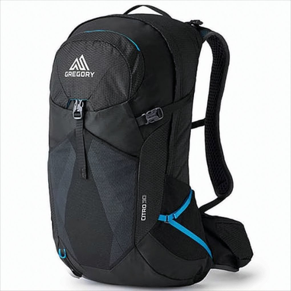 Gregory Compact Black Backpack With Padded Straps And Textured Front Panel