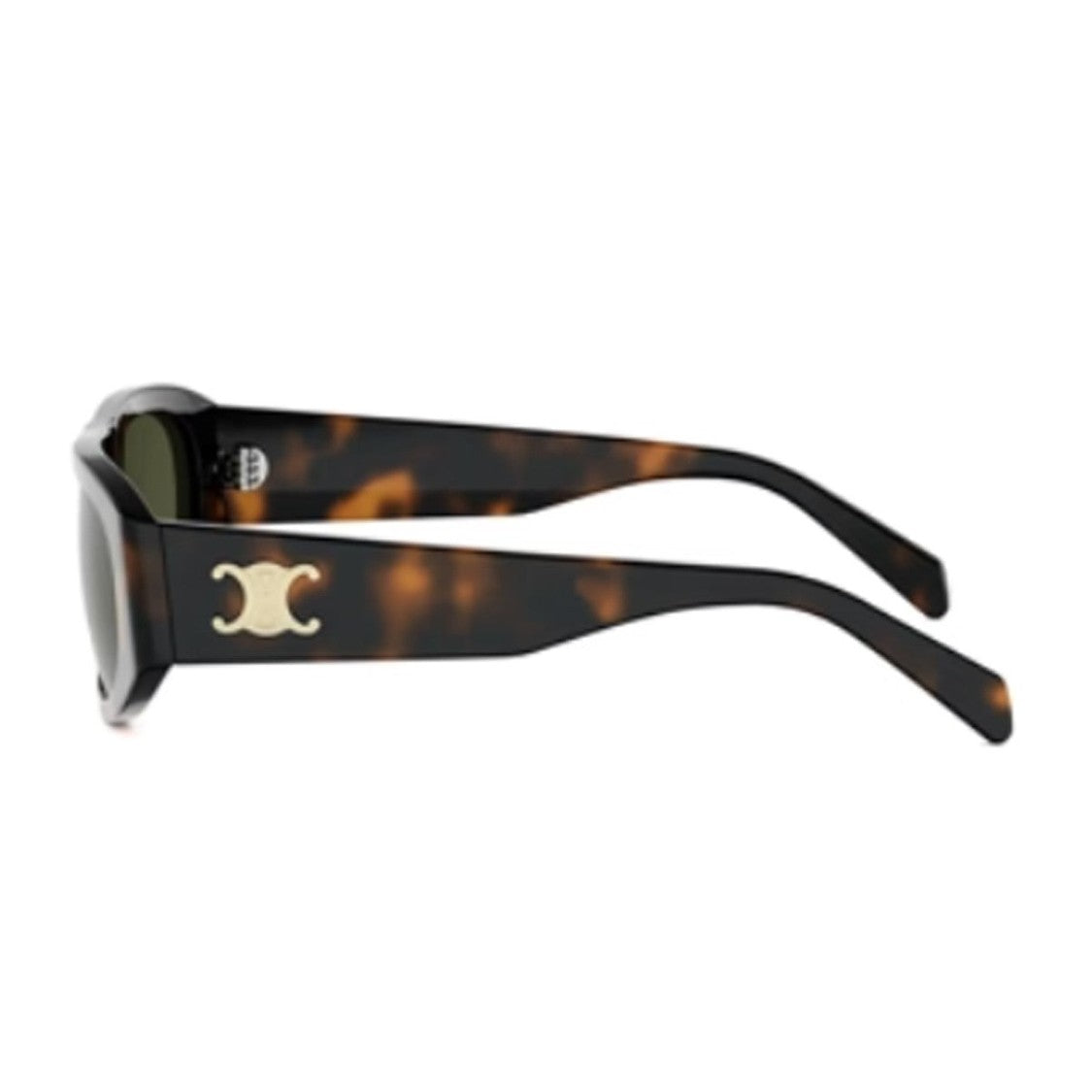 Celine Havana Triomphe Acetate Geometric Sunglasses